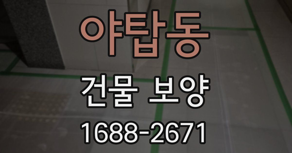 야탑동 건물 보양
