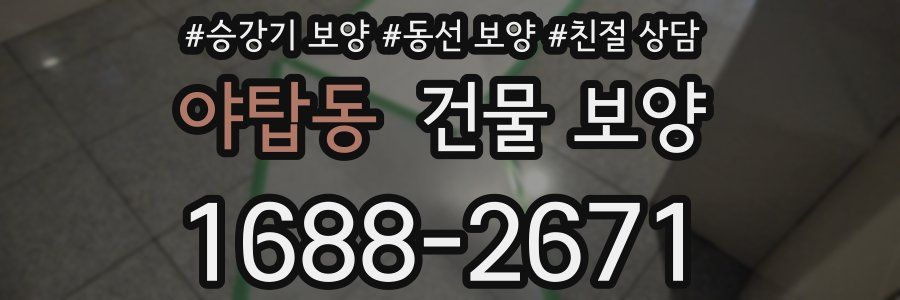 야탑동 건물 보양