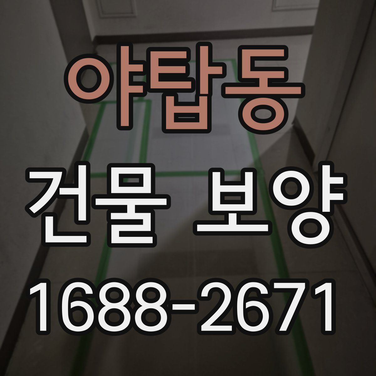 야탑동 건물 보양