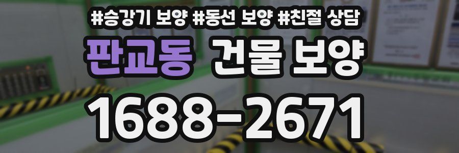 판교동 건물 보양