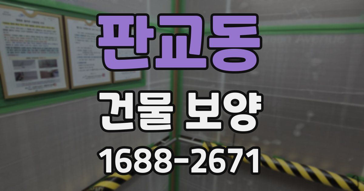 판교동 건물 보양