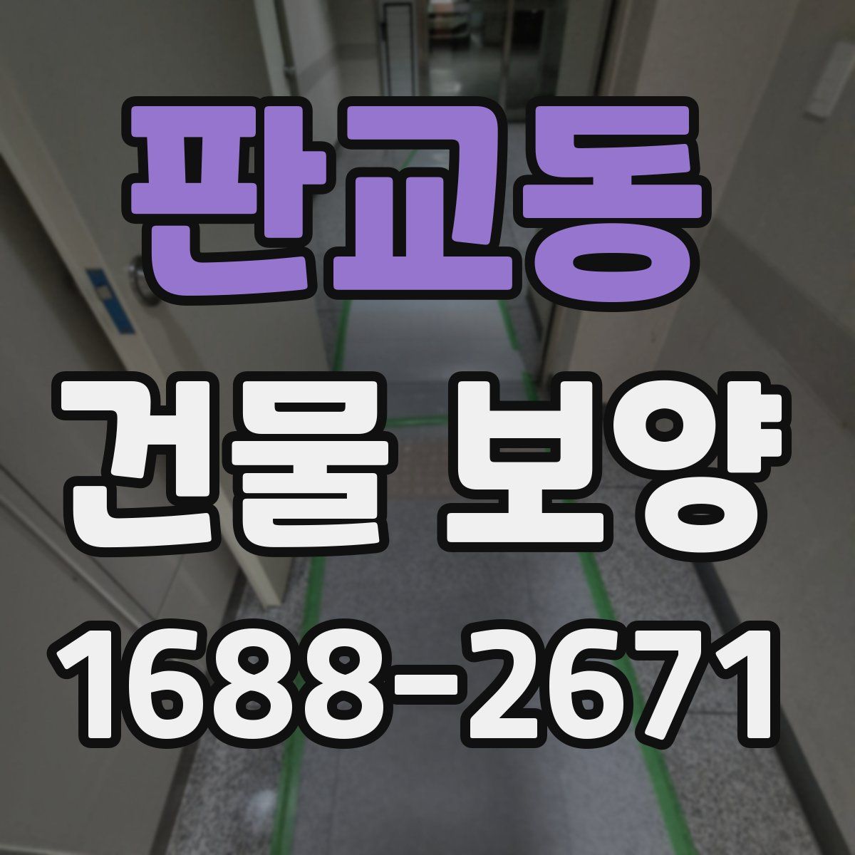 판교동 건물 보양