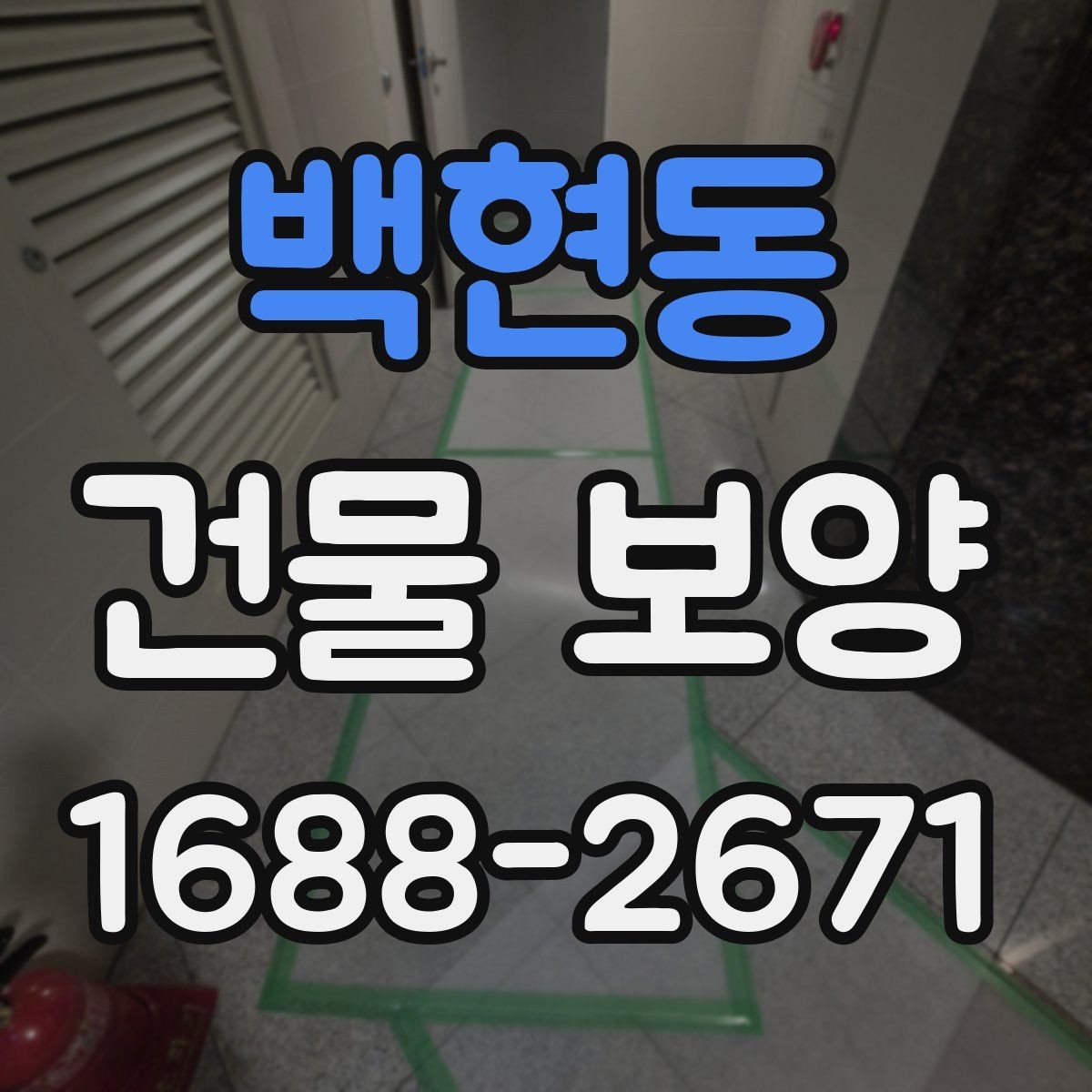 백현동 건물 보양 자재 선택이 결과를 좌우하는 이유