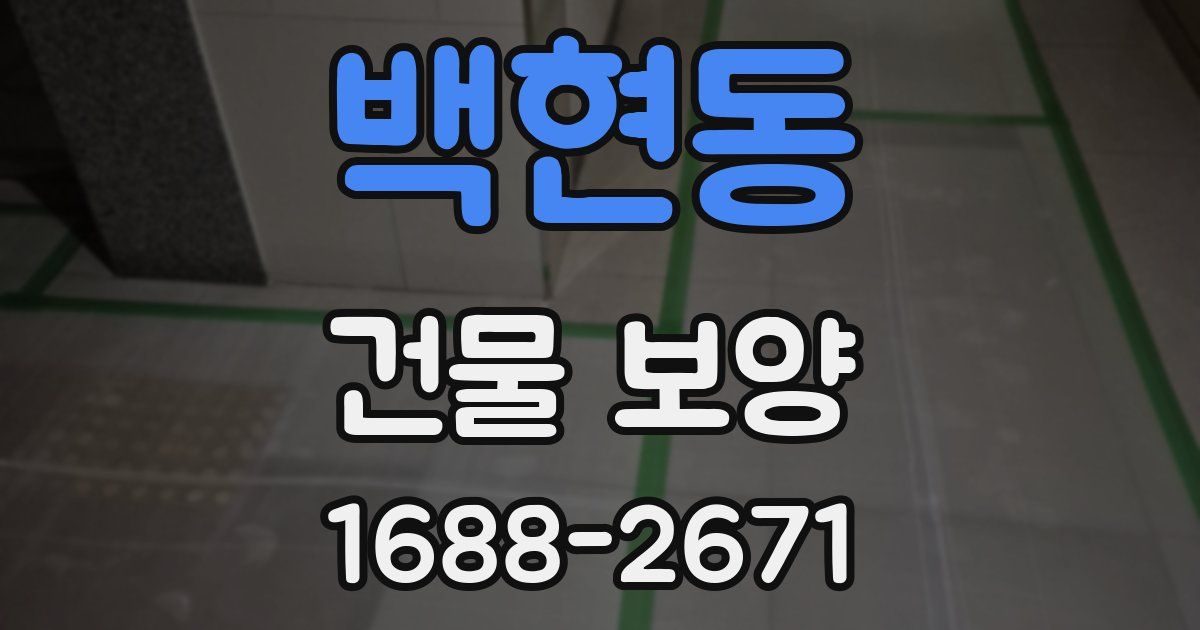 백현동 건물 보양