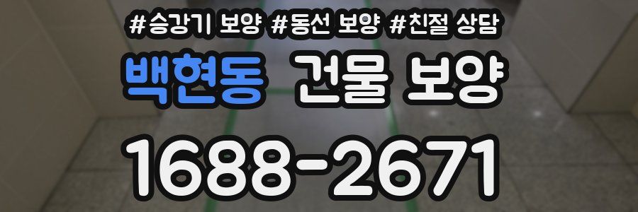 백현동 건물 보양