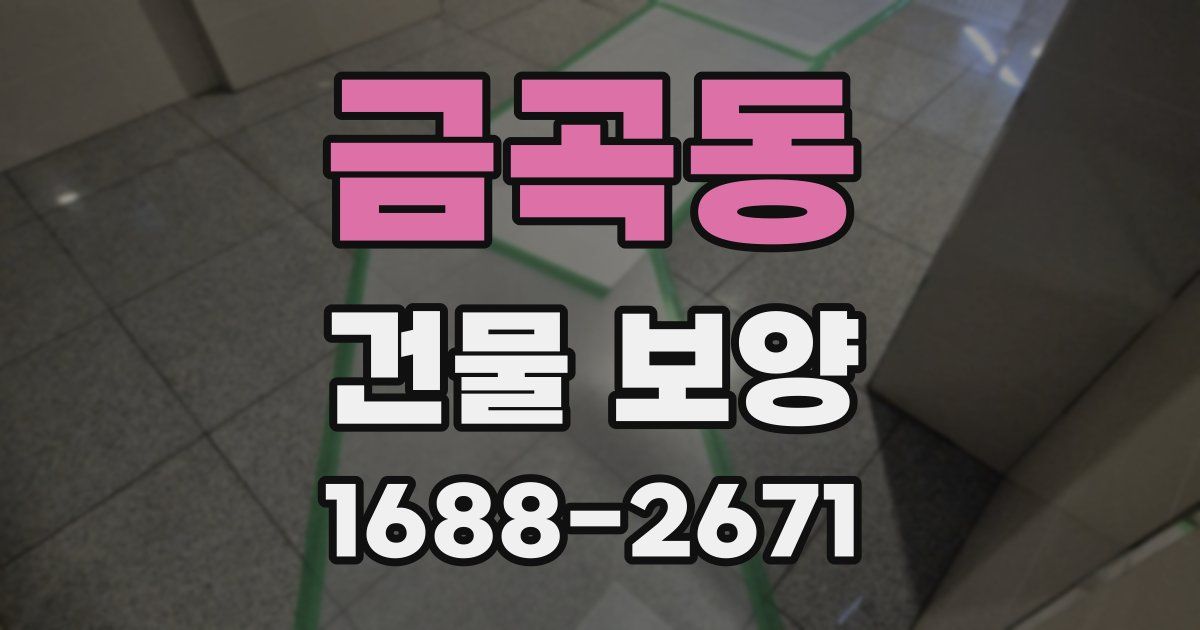 금곡동 건물 보양