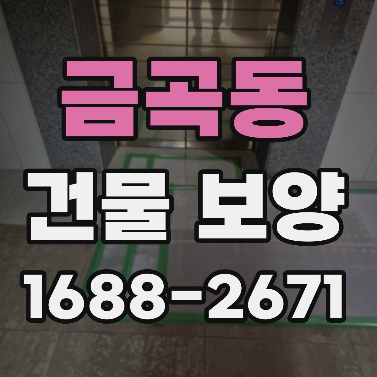 금곡동 건물 보양