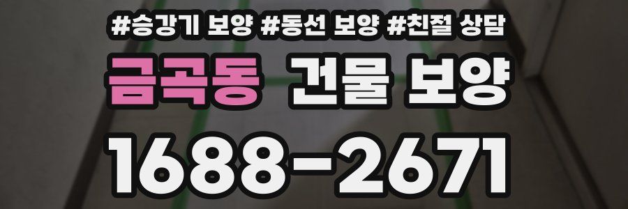 금곡동 건물 보양