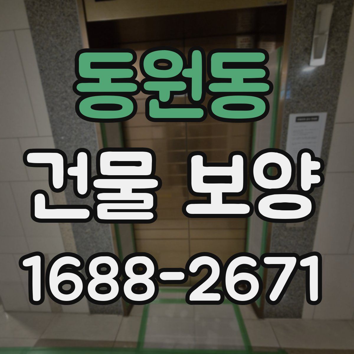 동원동 건물 보양
