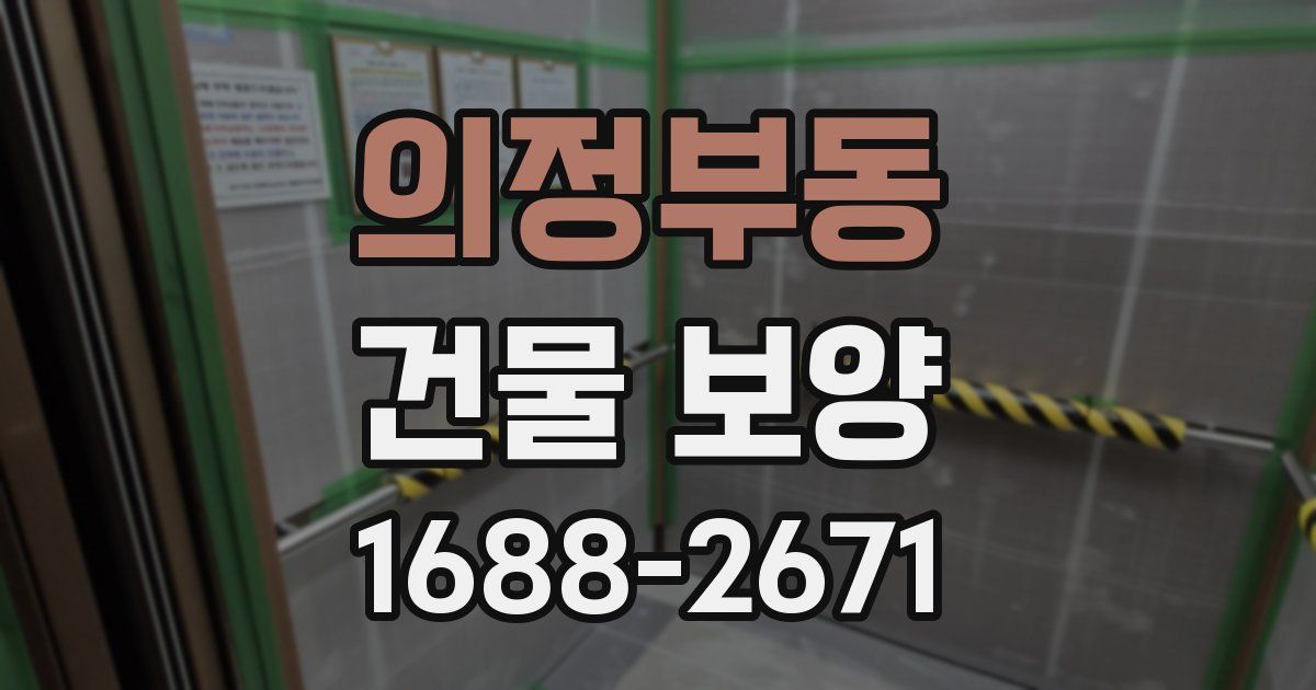 의정부동 건물 보양