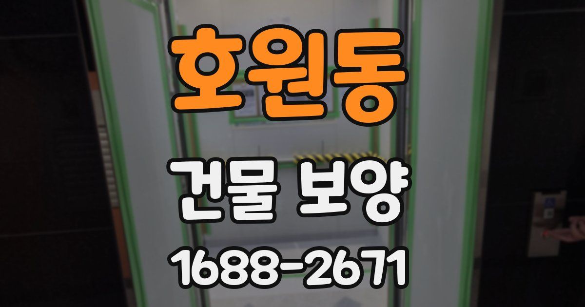 호원동 건물 보양