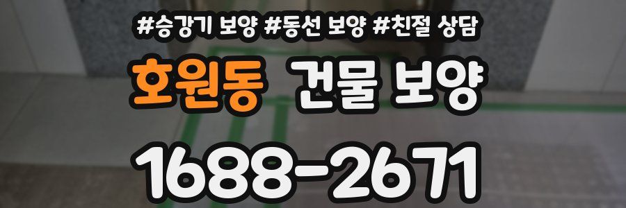 호원동 건물 보양