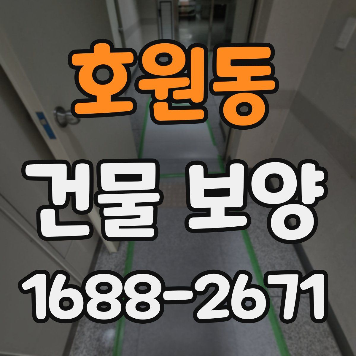 호원동 건물 보양