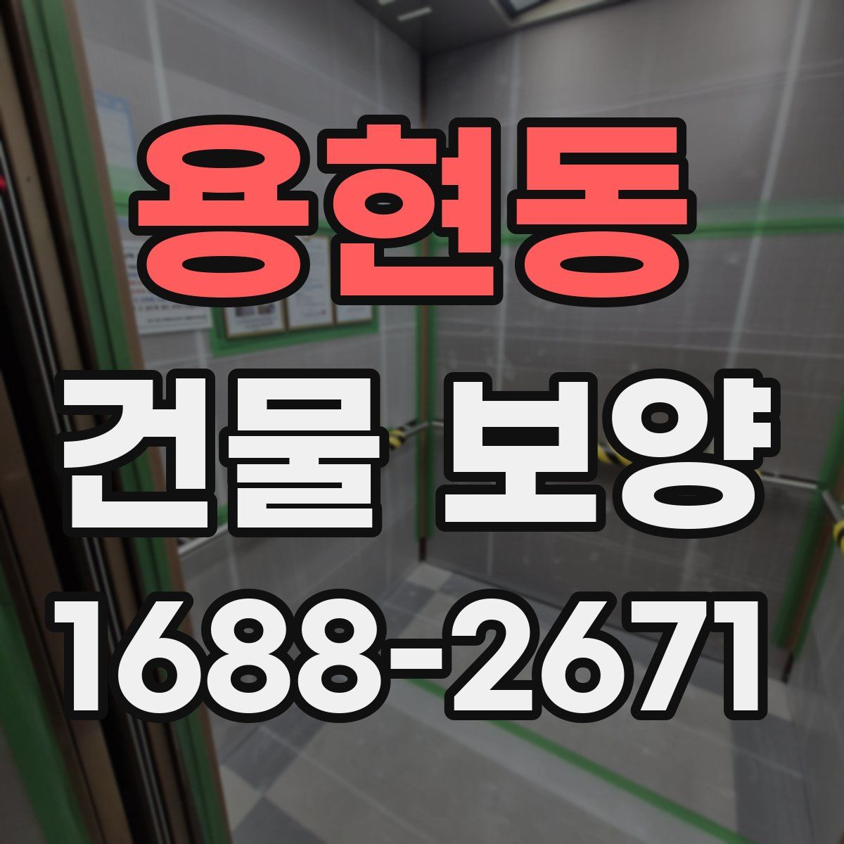 용현동 건물 보양