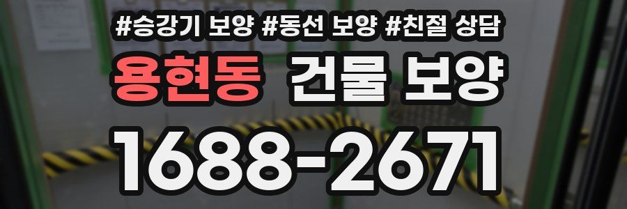 용현동 건물 보양