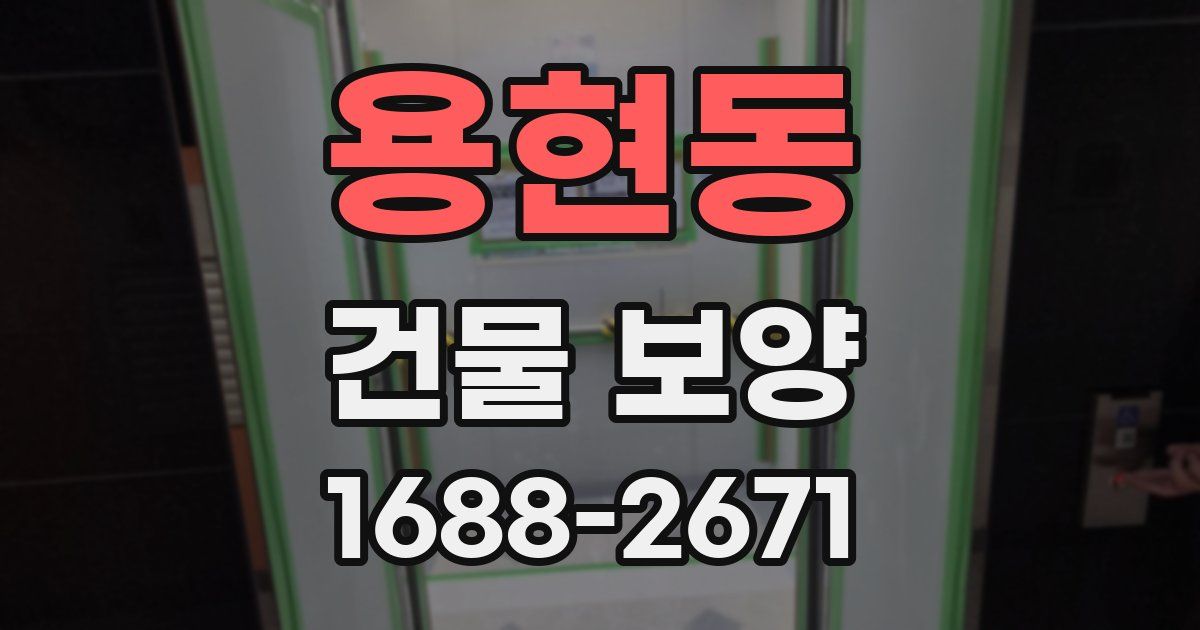 용현동 건물 보양