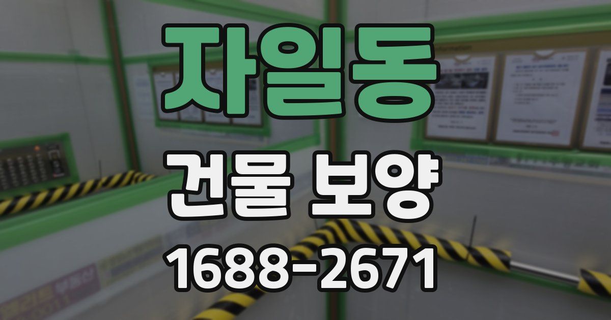 자일동 건물 보양