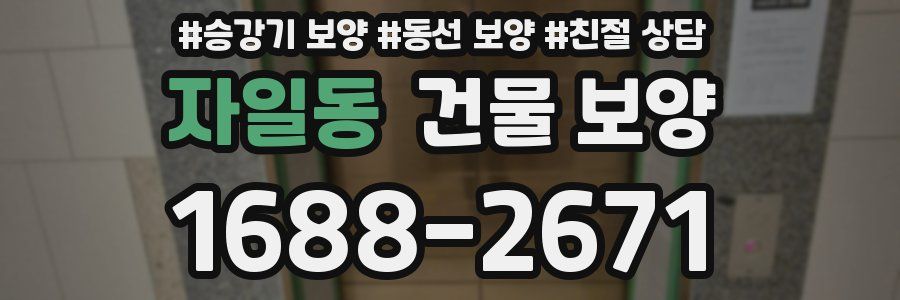 자일동 건물 보양