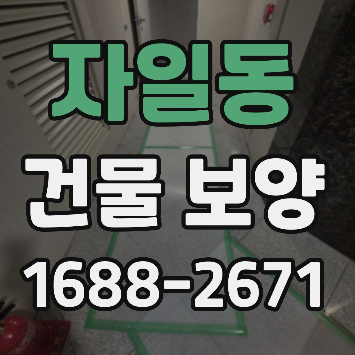 자일동 건물 보양