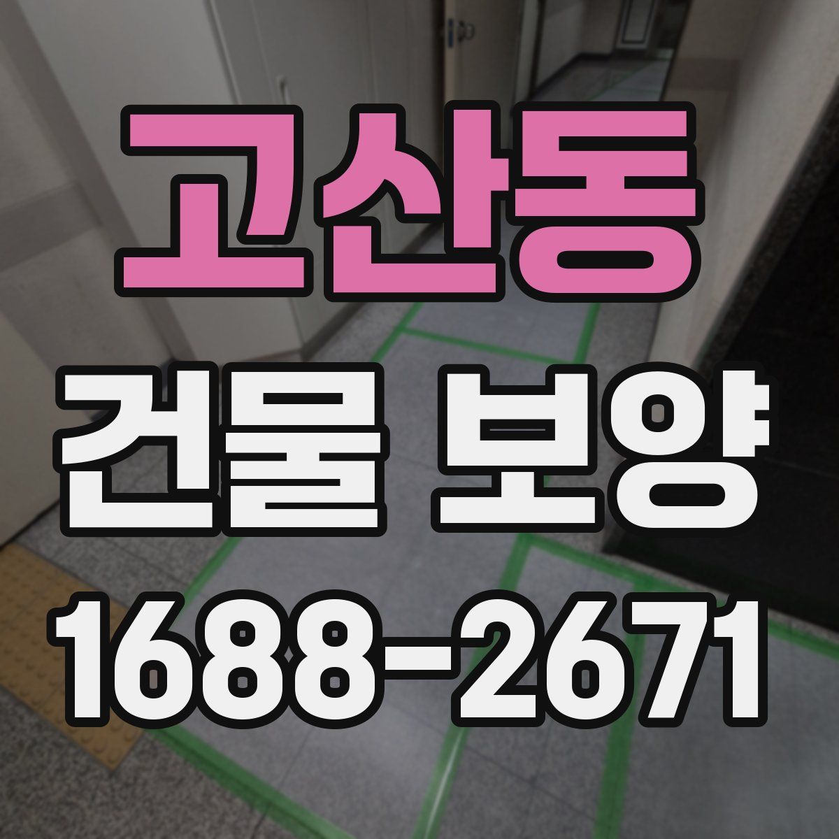 고산동 건물 보양