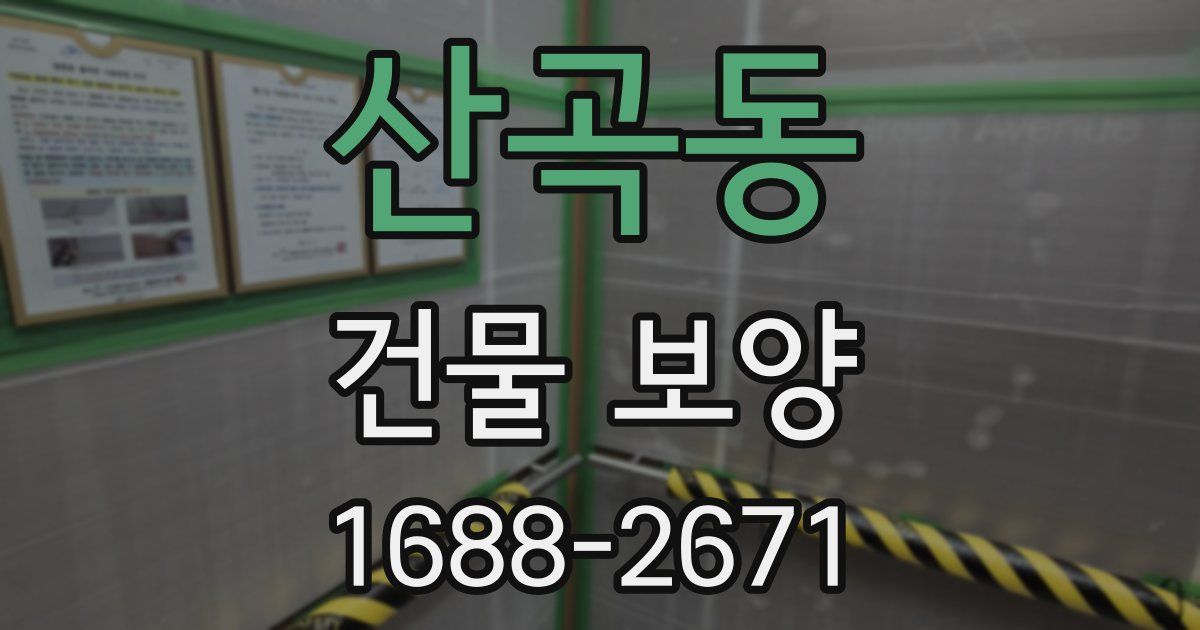 산곡동 건물 보양