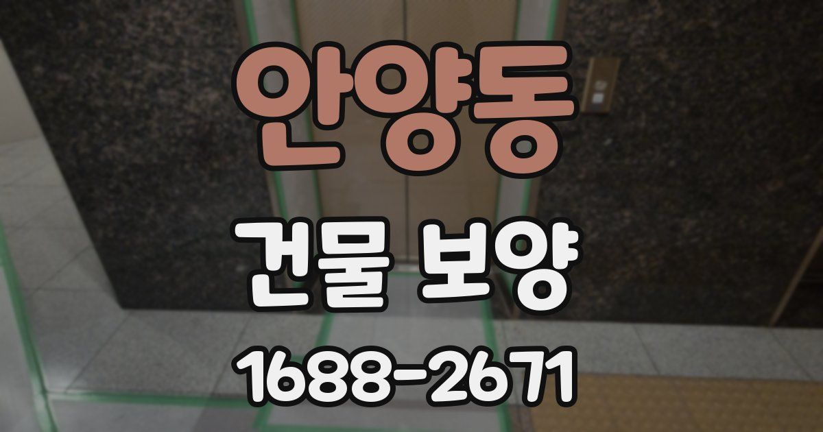 안양동 건물 보양