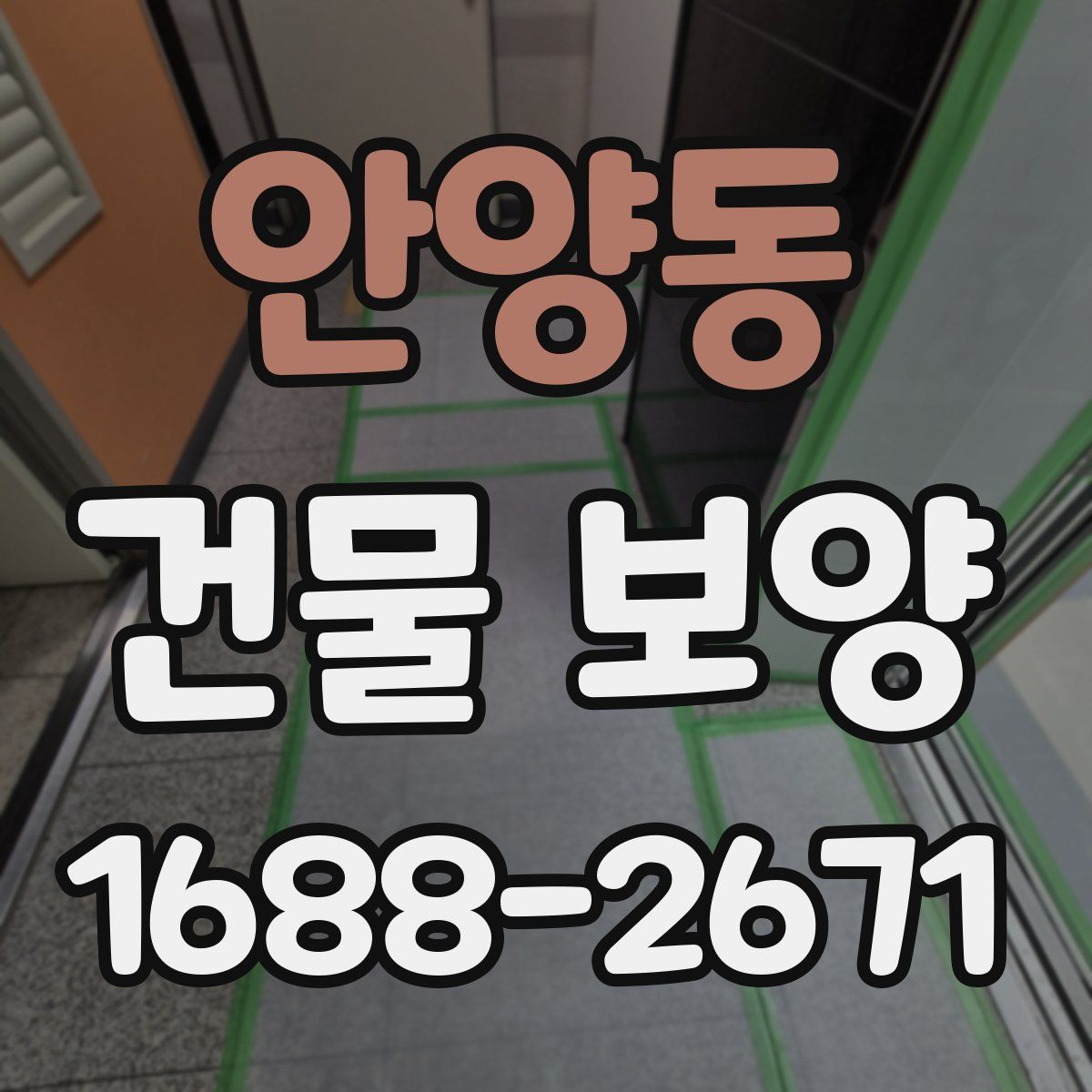 안양동 건물 보양