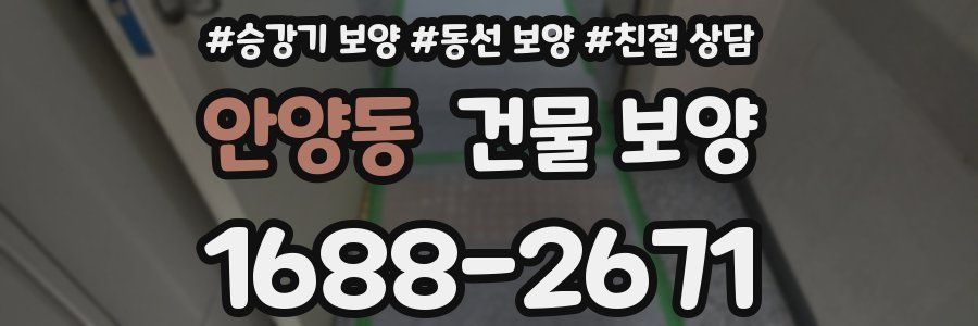 안양동 건물 보양