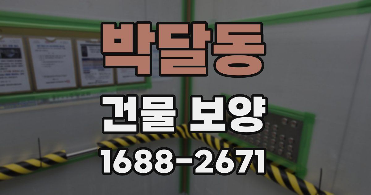 박달동 건물 보양