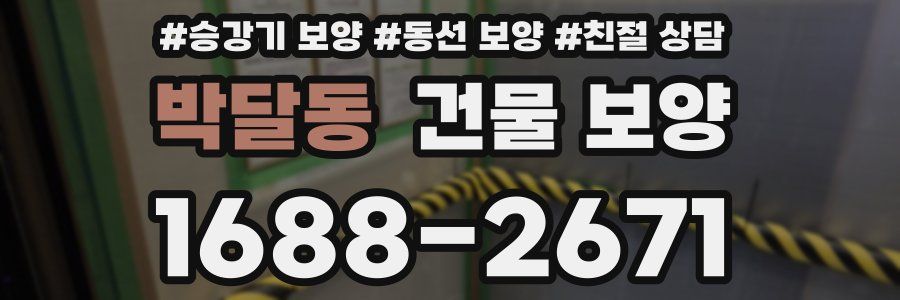 박달동 건물 보양