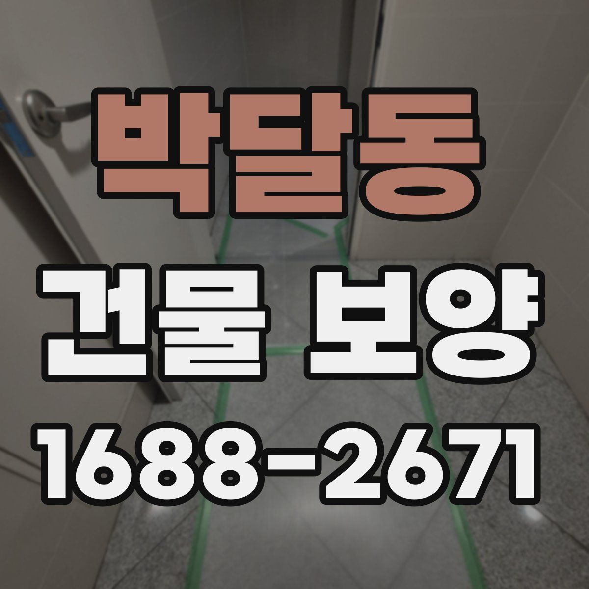 박달동 건물 보양