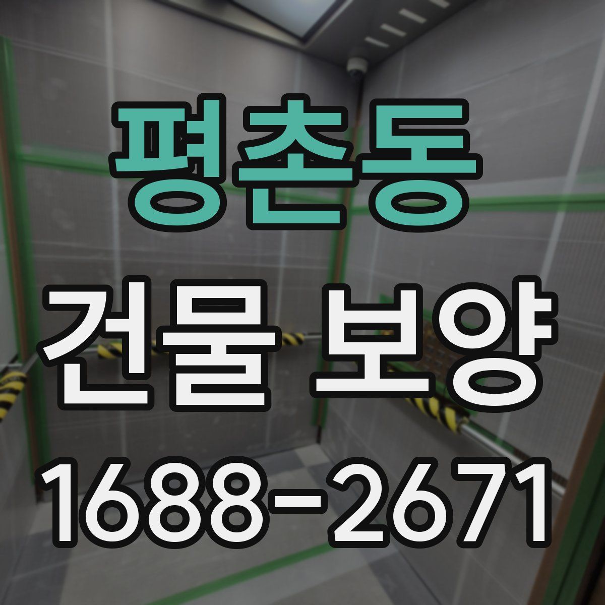 평촌동 건물 보양