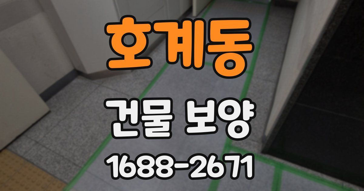 호계동 건물 보양