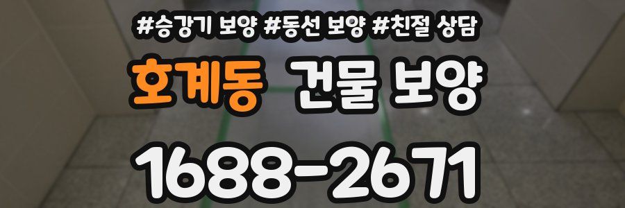호계동 건물 보양