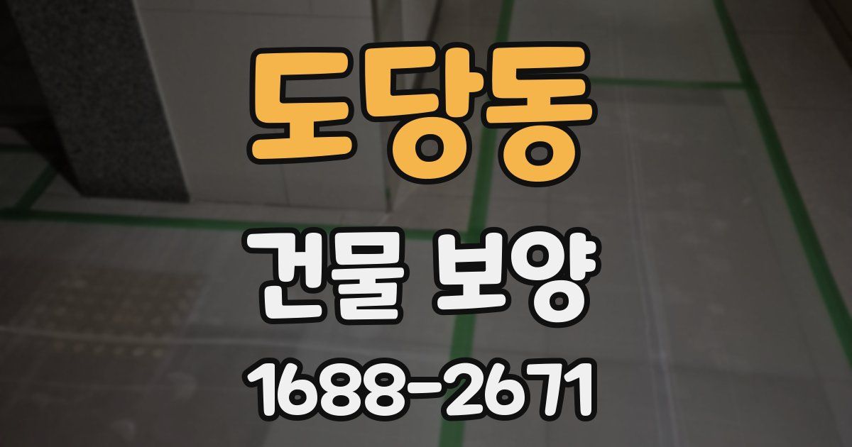 도당동 건물 보양