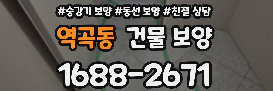 역곡동 건물 보양