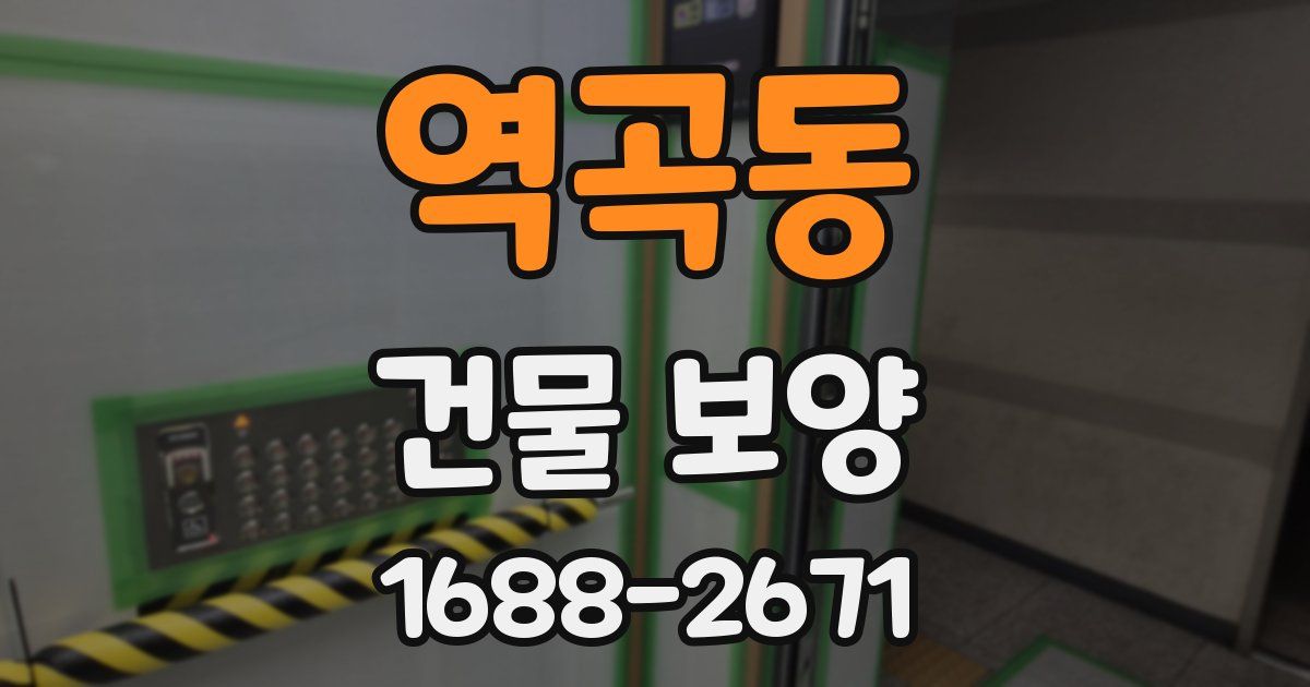 역곡동 건물 보양