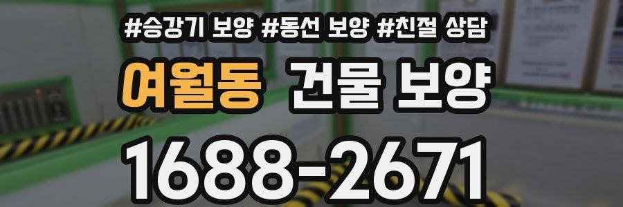 여월동 건물 보양