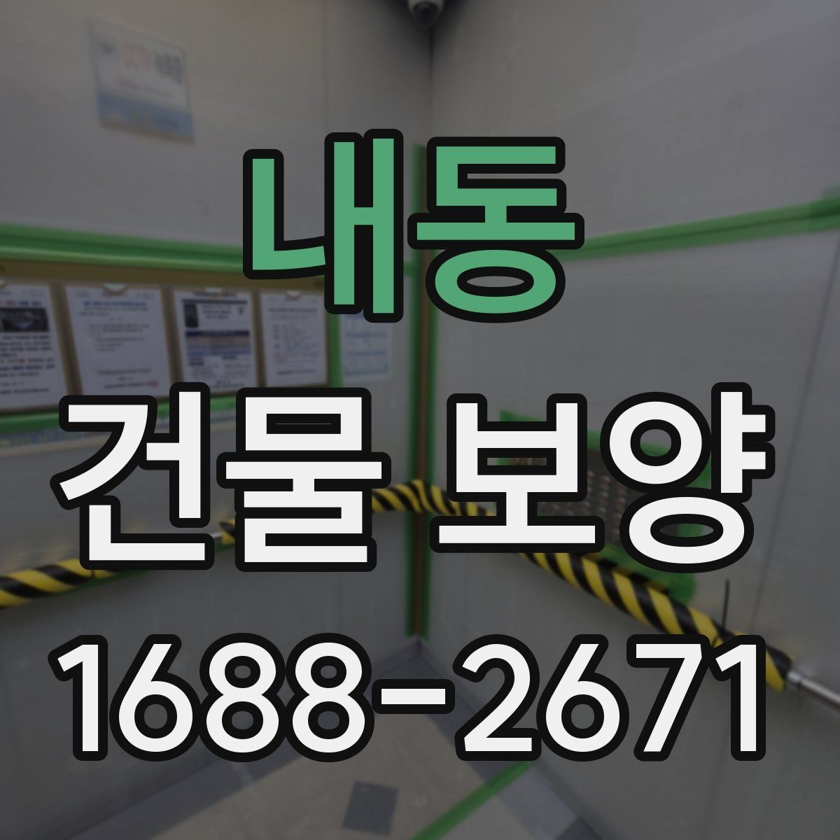 내동 건물 보양 범위 설정 시 유의할 점