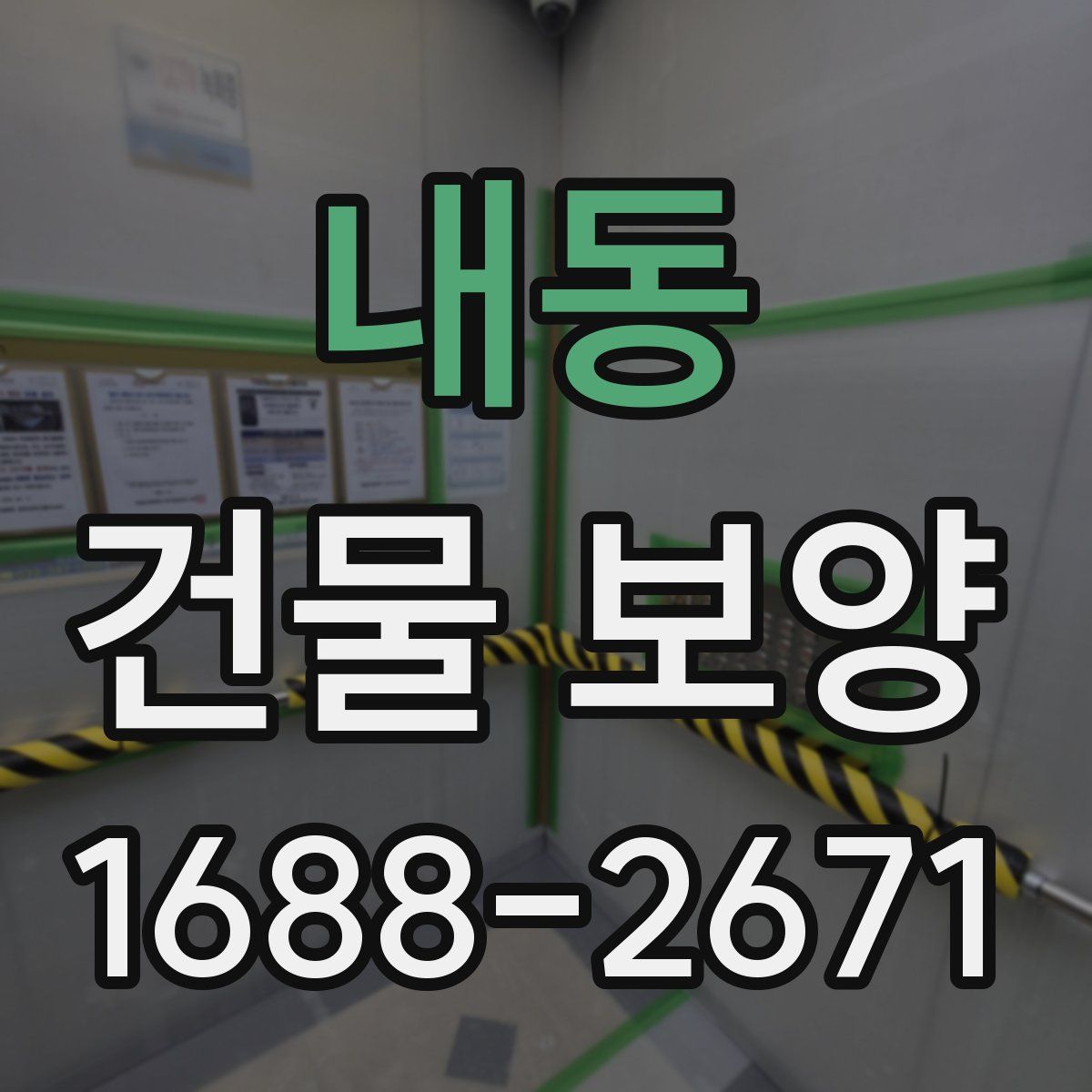 내동 건물 보양