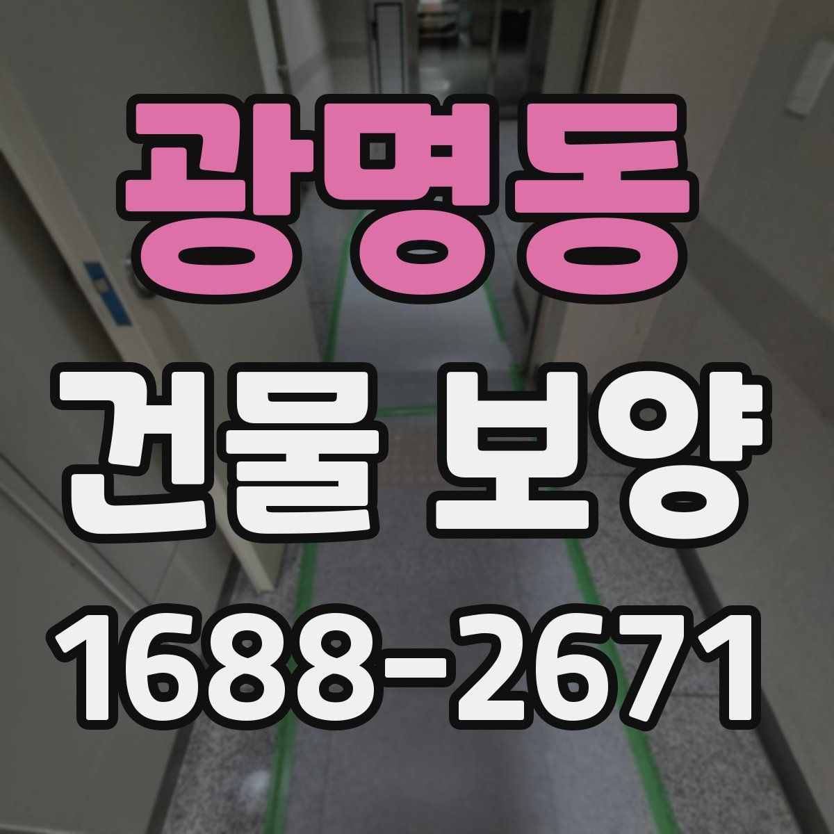 광명동 건물 보양