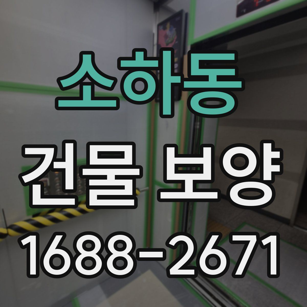 소하동 건물 보양