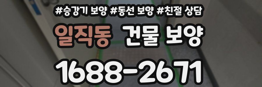 일직동 건물 보양