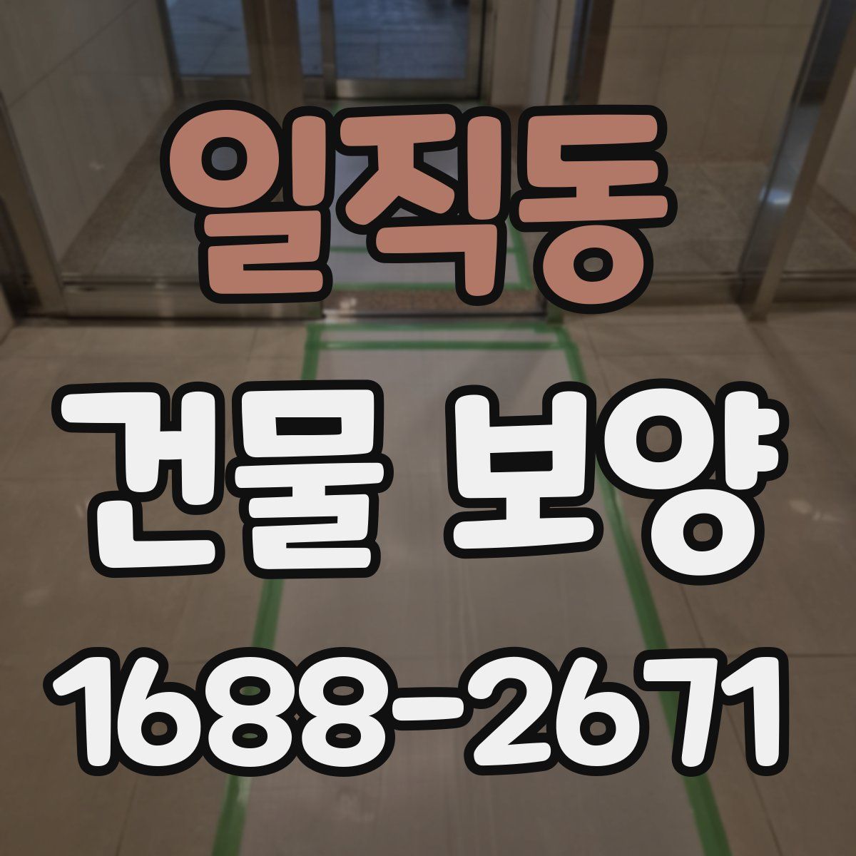 일직동 건물 보양