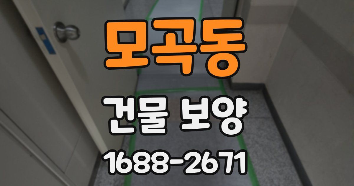 모곡동 건물 보양