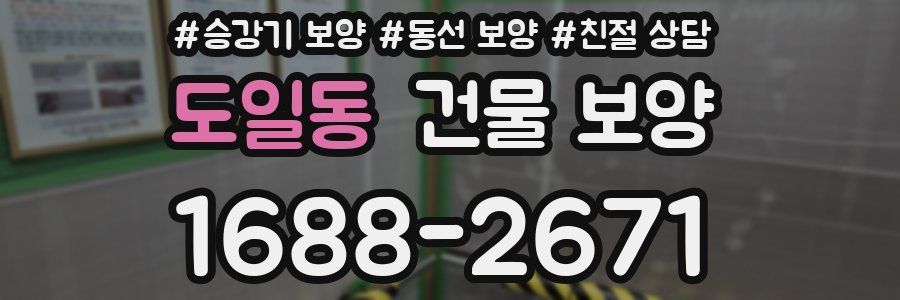 도일동 건물 보양