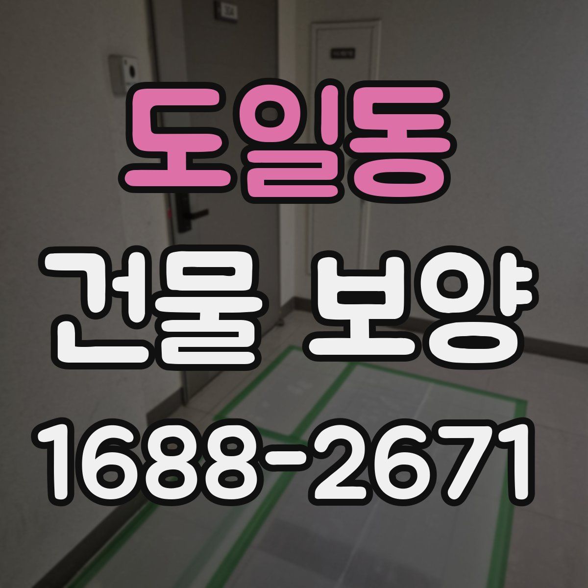 도일동 건물 보양