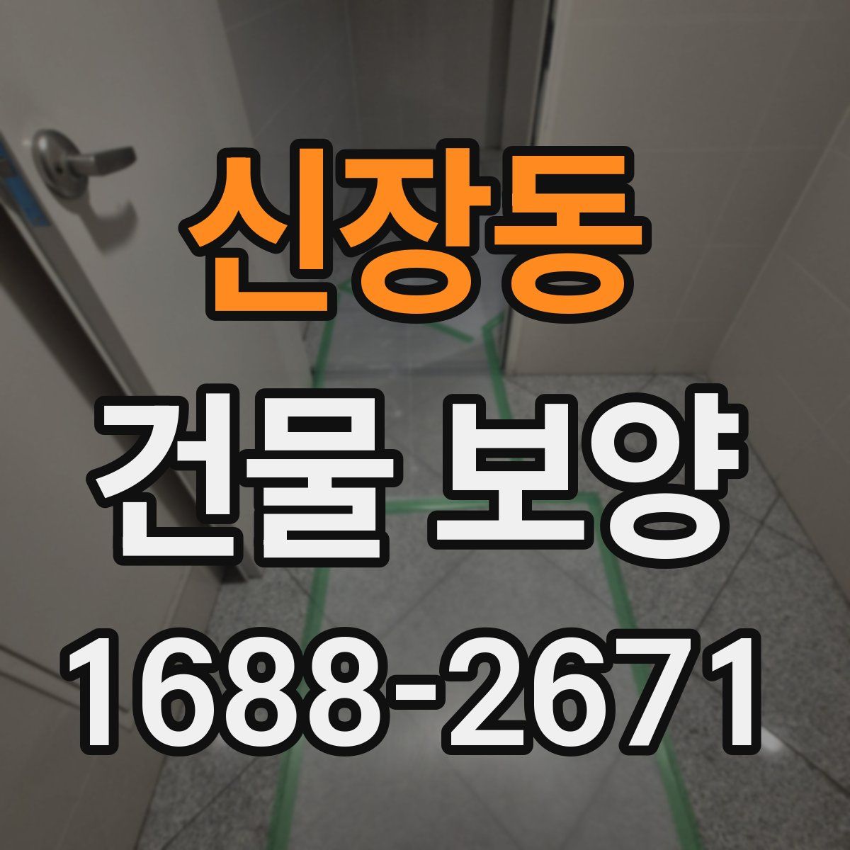 신장동 건물 보양