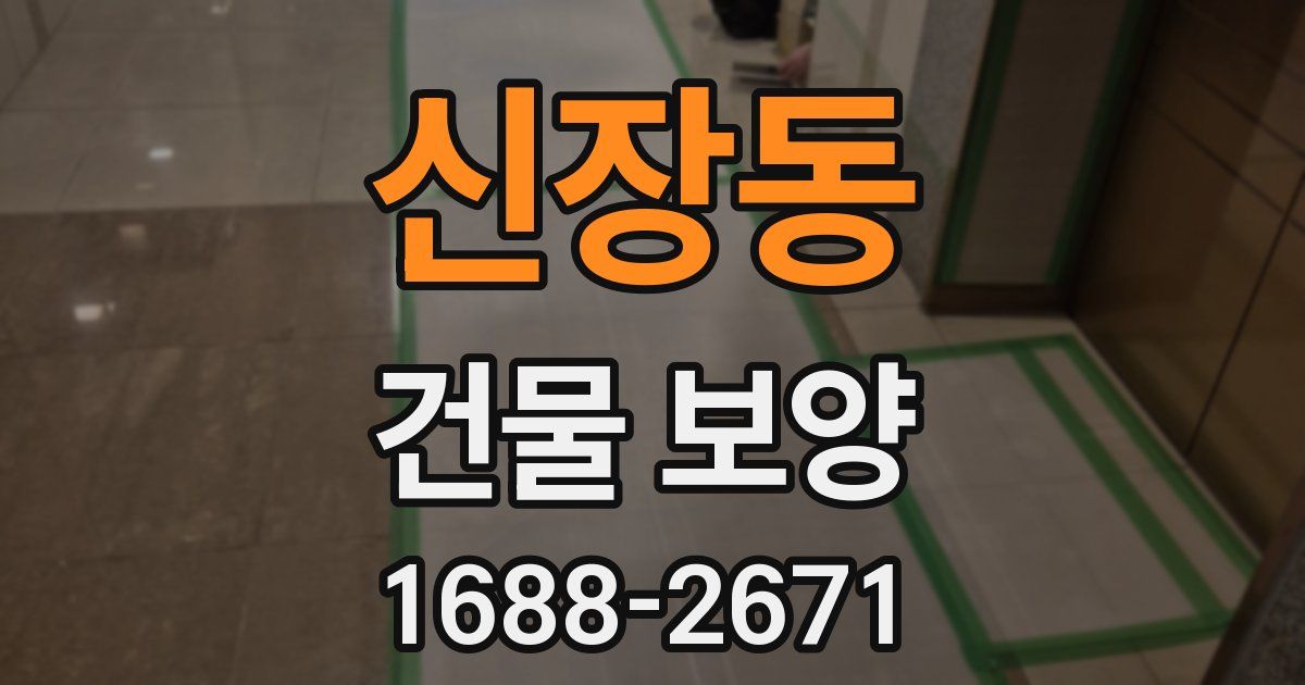 신장동 건물 보양
