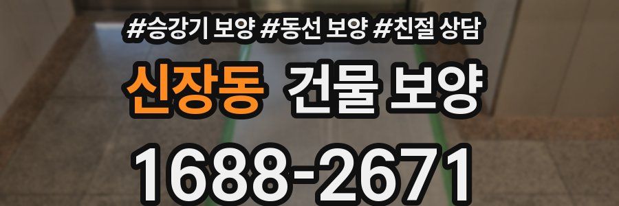 신장동 건물 보양